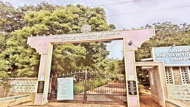 ఉజ్వల భవితకు ‘నవోదయ’