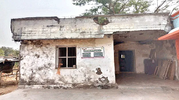 దైన్యం.. పశువైద్యం