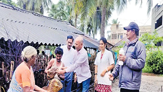 గొర్రెలు, మేకలకు నట్టల నివారణ వ్యాక్సిన్‌