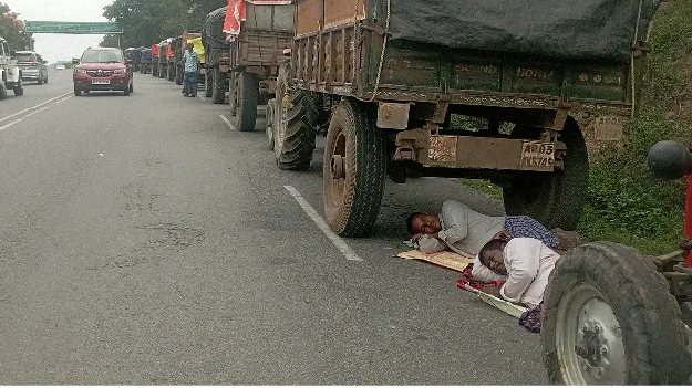 మామిడి రైతులకు ఊరట