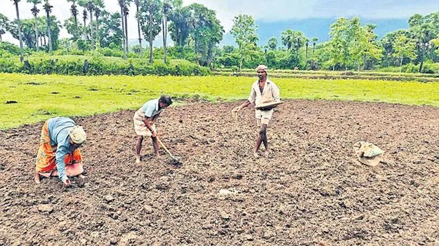 కొనసాగిన ముసురు