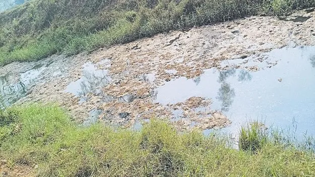  కాలుష్య కోరల్లో ‘చాగల్నాడు’