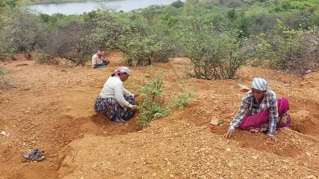 వజ్రాల వేట! 