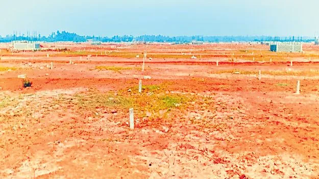 నేతలు..మహా మేతలు!