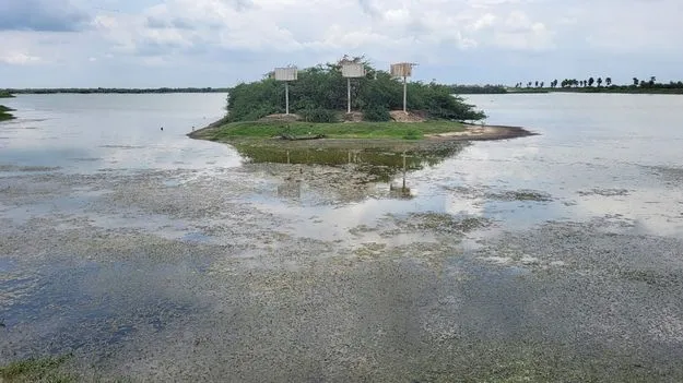 కొల్లేరు అతిథులకు అవస్థలు