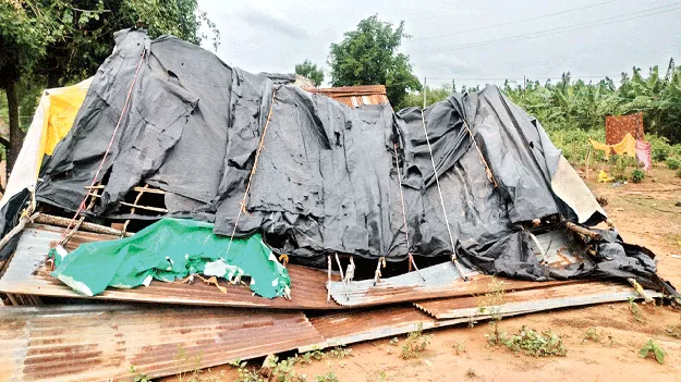 అడవి బిడ్డలకు అన్నీ కష్టాలే..