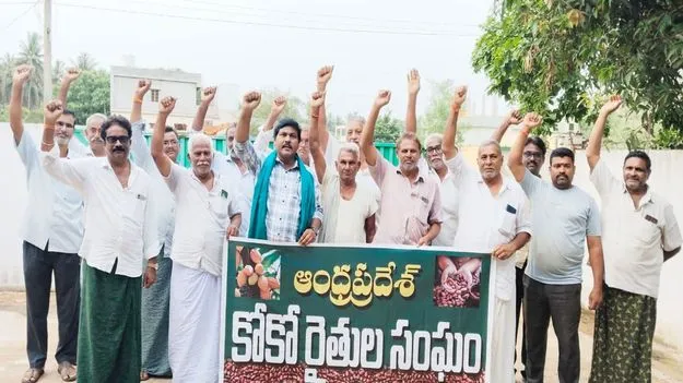 కోకో గింజలు కొనుగోలు చేయాలి