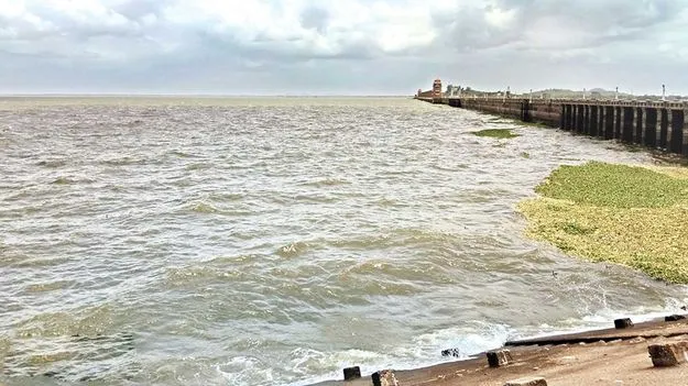 ఎల్లెల్సీకి ముందస్తు సాగునీరు 