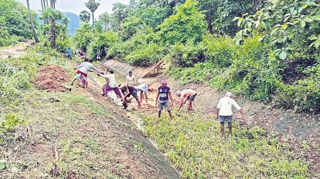 పూడిక తీసి.. తుప్పలు తొలగించి..