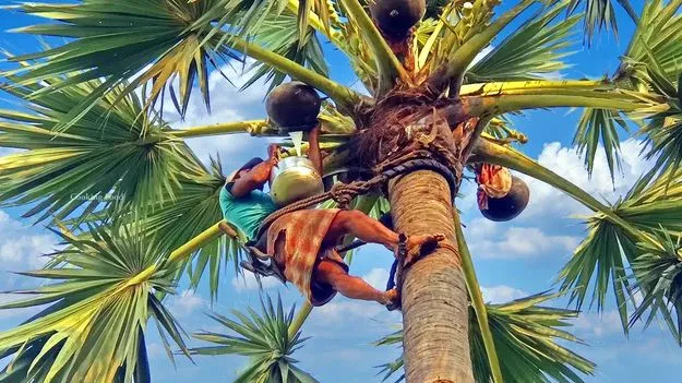 Gouda Community: కల్లు సొసైటీలపై నిషేధానికి కుట్ర 