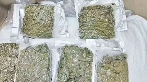 Shadnagar: గంజాయి కొట్టేసి, అమ్మాలని చూసి.. ఎక్సైజ్‌ కానిస్టేబుల్‌ జైలుపాలు 