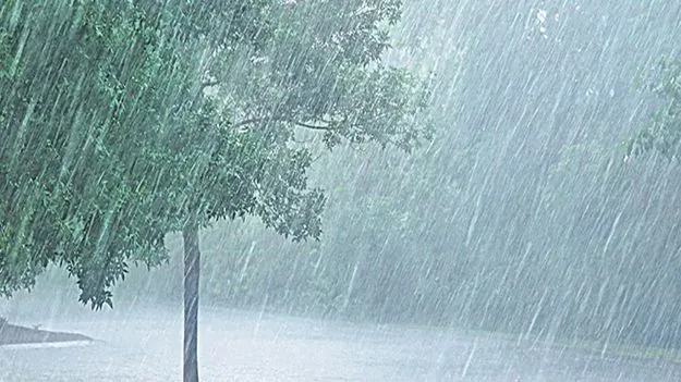 Heavy Rains: రాష్ట్రంలో ఈ నెలంతా వర్షాలే ! 