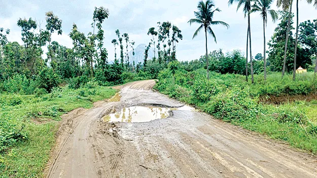  అడుగడుగునా గోతులే..