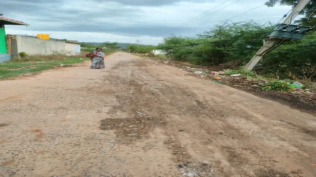 రోడ్డు పక్కన చెత్త తొలగింపు