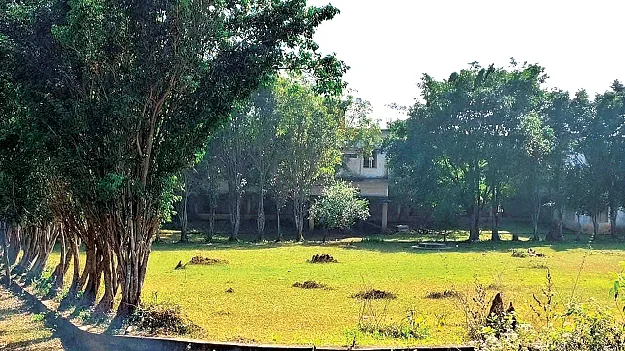 Something has to be decided! ఏదో ఒకటి తేల్చాల్సిందే!