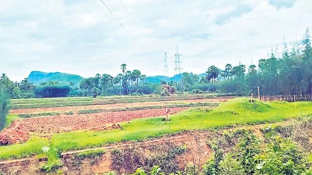 ‘మాకవరపాలెం’లో ఎంఎస్‌ఎంఈ పార్క్‌
