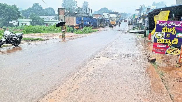 వీడని వాన 