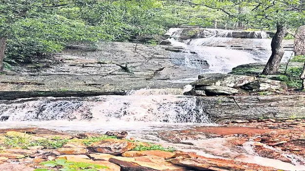 జలపాతాల సవ్వడి