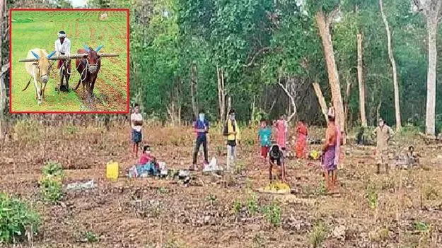 Podu Land Rights: పోడు హక్కుల గోడు తీరేదెన్నడు