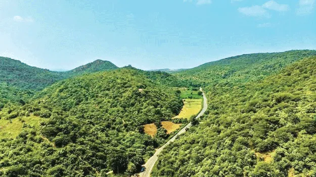  ప్రకృతి ఒడిలో.. పెళ్లి పందిరి