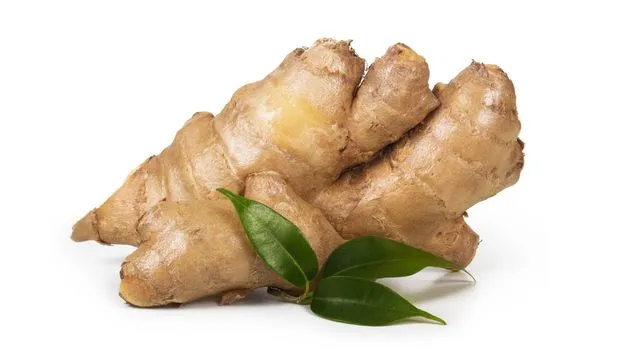 అల్లం తాజాగా