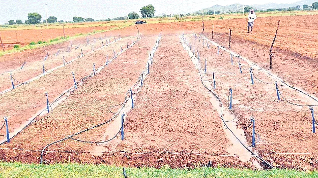 మిరప సాగుకు సిద్ధమైన రైతులు