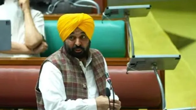 Punjab Religious Law: శాసన వివేకం