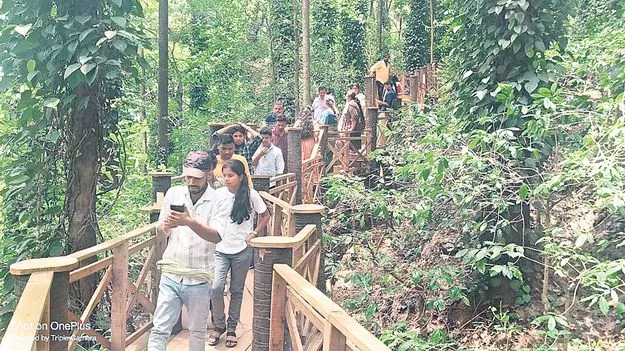 కాఫీ ట్రయల్‌ అందాలను చూసొద్దాం