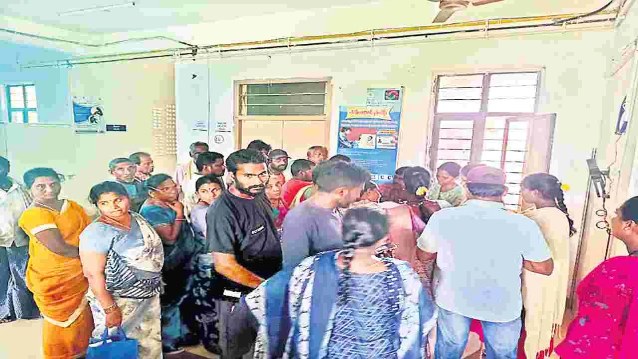 వణికిస్తున్న వైరల్‌ జ్వరాలు