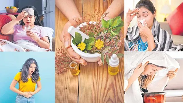 Ayurvedic Remedies: వానాకాలం వెతలకు చెక్‌ 