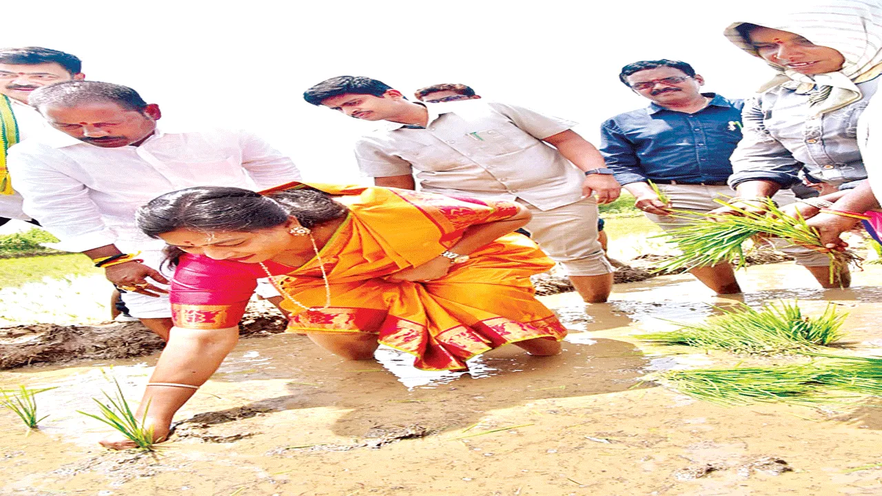  this is farmer welfare government రైతు సంక్షేమ ప్రభుత్వమిది