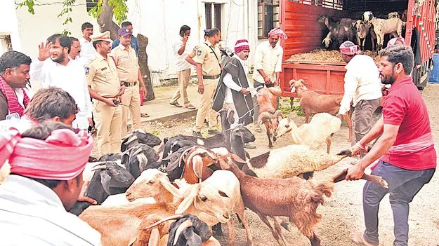 గాంధీభవన్‌లోకి గొర్రెలు, మేకలు తోలి నిరసన