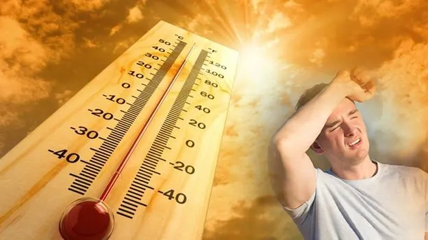 Heat Stroke: తెలంగాణలో 348 వడదెబ్బ కేసులు