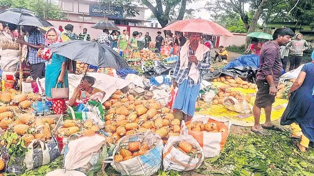 పైనాపిల్‌ ధర పతనం