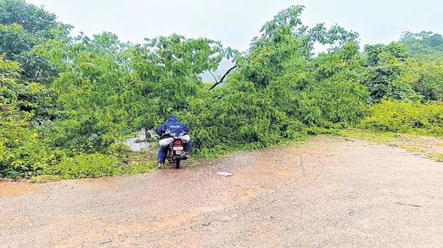 వర్ష బీభత్సం