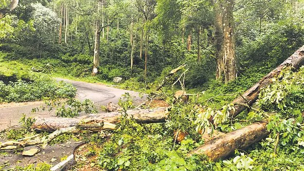 వానొస్తే.. వణుకే! 