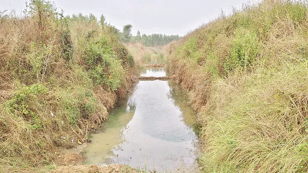  మాఫీ.. హ్యాపీ!