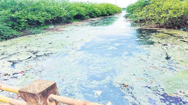 రాంకీ బరితెగింపు