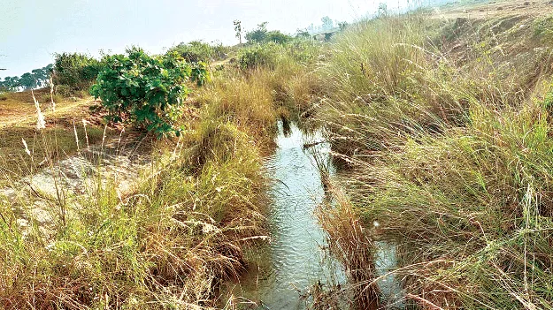Irrigation water problem సాగునీటికి గండం