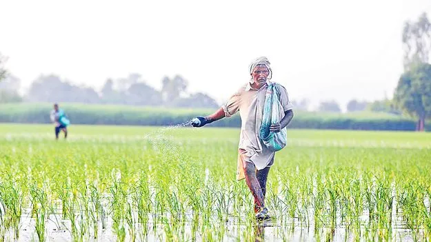 Crop Insurance: వానాకాలం పంటలకు బీమా లేనట్లే!