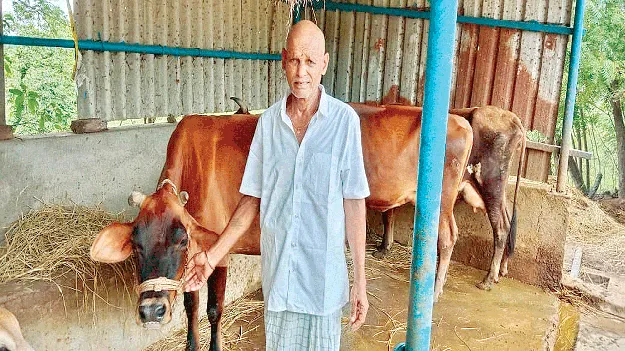 More than a farm... animal husbandry పొలం కన్నా.. పశుపోషణే మిన్న