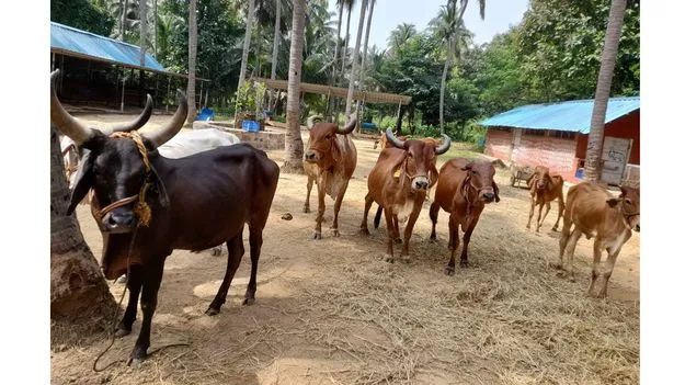 పాలపుంత.. చిత్తూరు జిల్లా..!