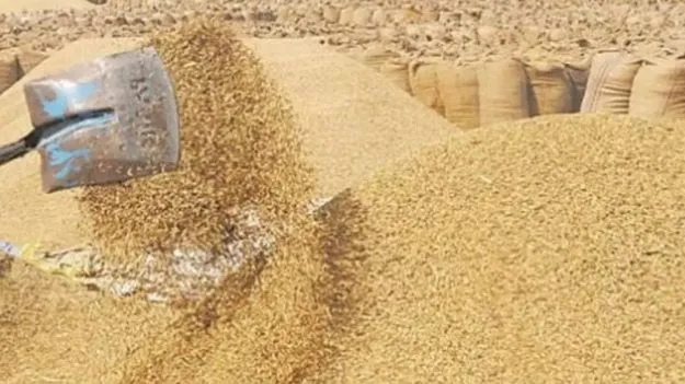 Rice Millers: మార్కెట్‌ సెస్‌ రూ.40 కోట్లు ఎగవేత