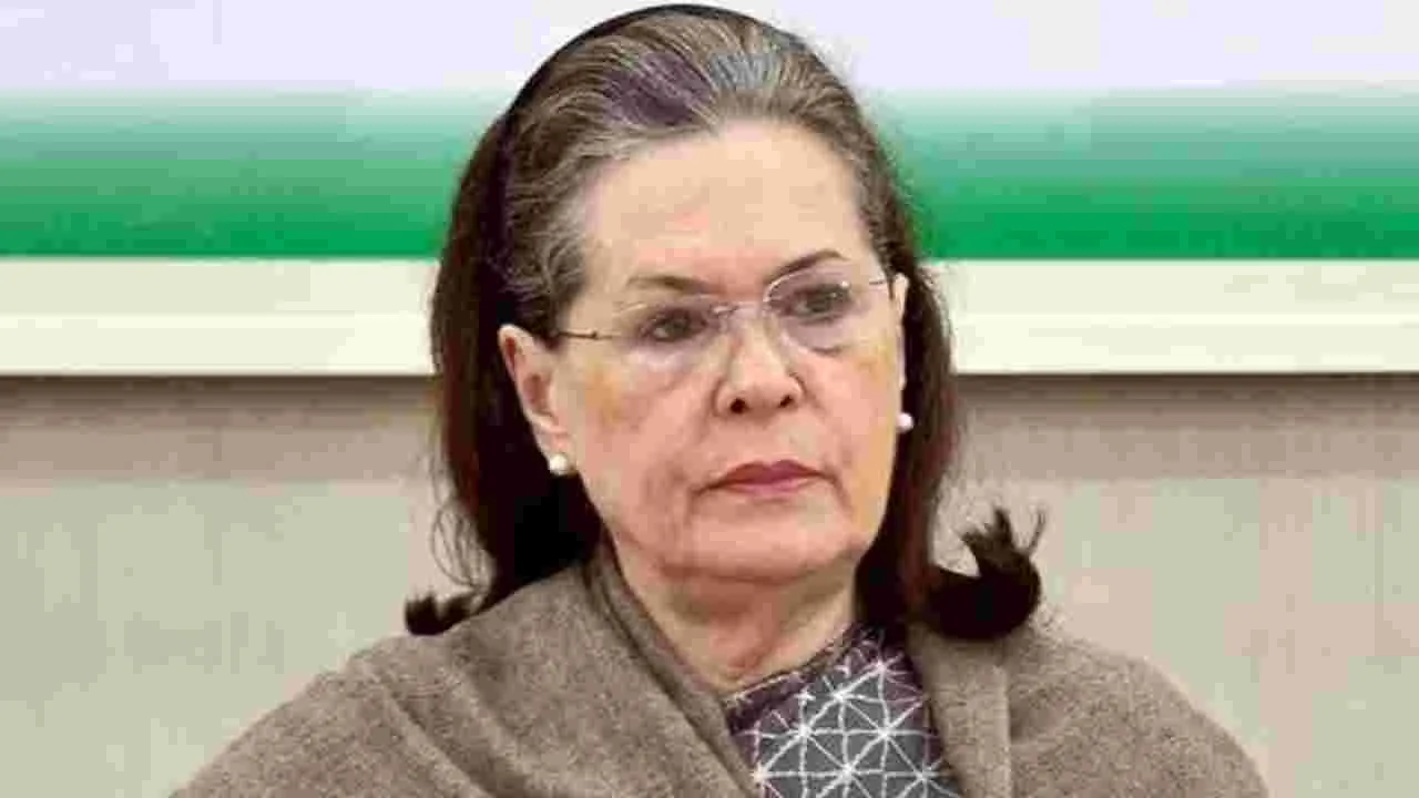 Sonia Gandhi: ఆస్తే లేనప్పుడు మనీలాండరింగ్‌ ఎక్కడిది?  