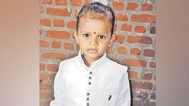 Dog Attack Medak: వీధి కుక్కల దాడిలో మూడేళ్ల బాలుడి మృతి