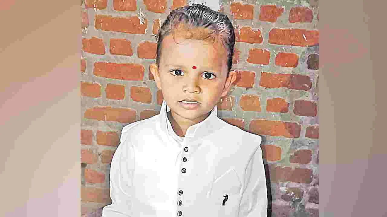 Dog Attack Medak: వీధి కుక్కల దాడిలో మూడేళ్ల బాలుడి మృతి