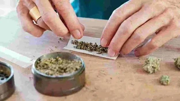 రూ. 1.2 కోట్ల హాషిష్‌ ఆయిల్‌ పట్టివేత