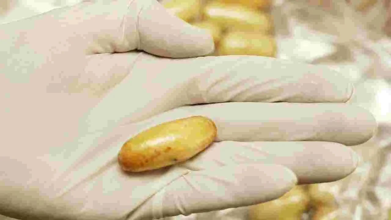 Mumbai: ప్రయాణికుడి పొట్టలో 67 కొకైన్‌ క్యాప్సూల్స్‌