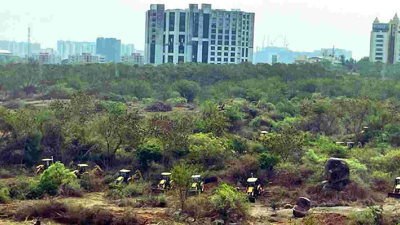 Gachibowli: ‘కంచ గచ్చిబౌలి’పై చర్యలు తీసుకోండి