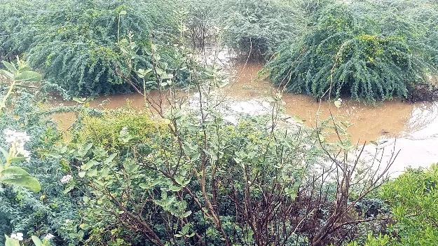 చెరువులకు జలకళ